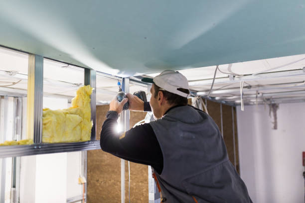 Best Commercial Insulation in Eddyville, IA
