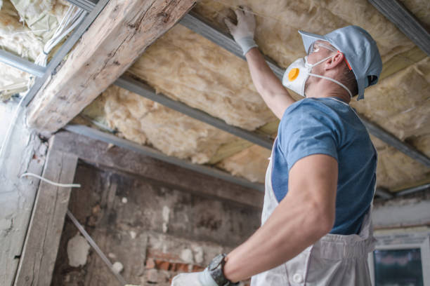 Best Insulation Materials and Products in Eddyville, IA