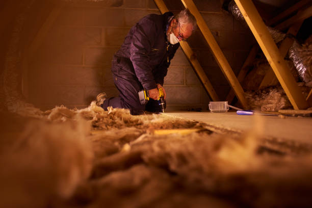Best Residential Insulation in Eddyville, IA